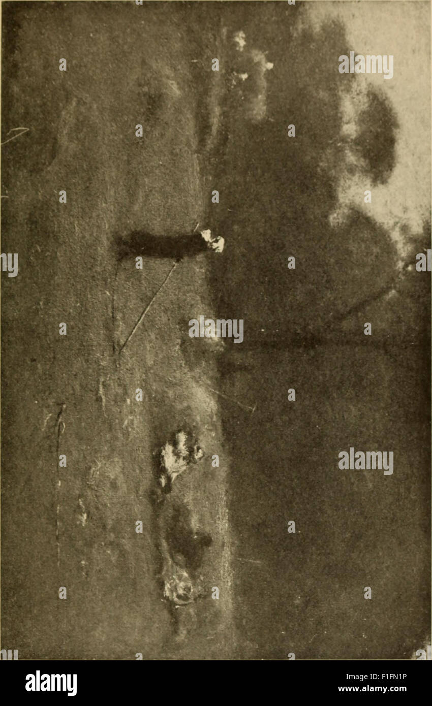 Life, art, and letters of George Inness (1917 Stock Photo - Alamy