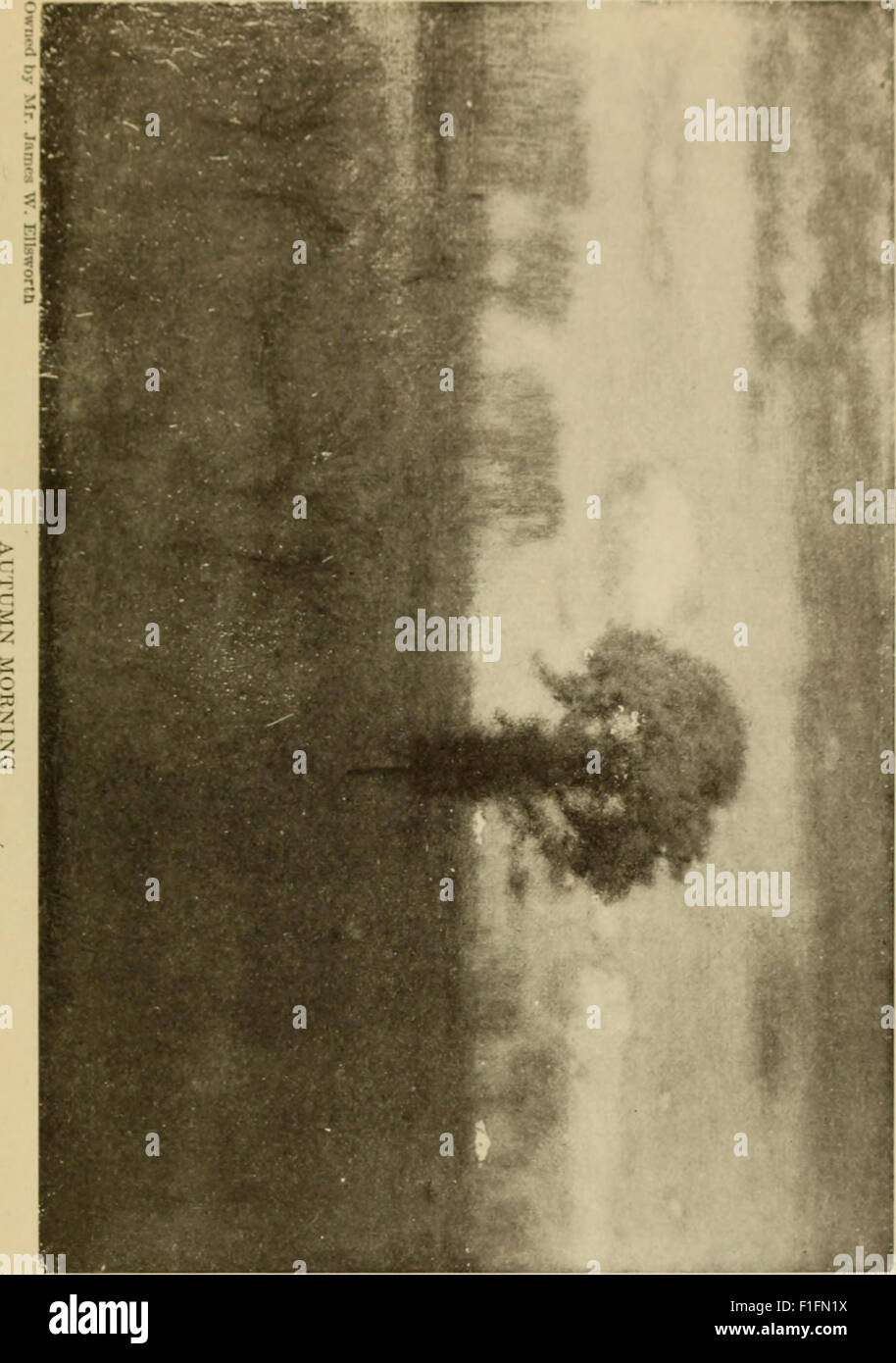 Life, art, and letters of George Inness (1917 Stock Photo - Alamy