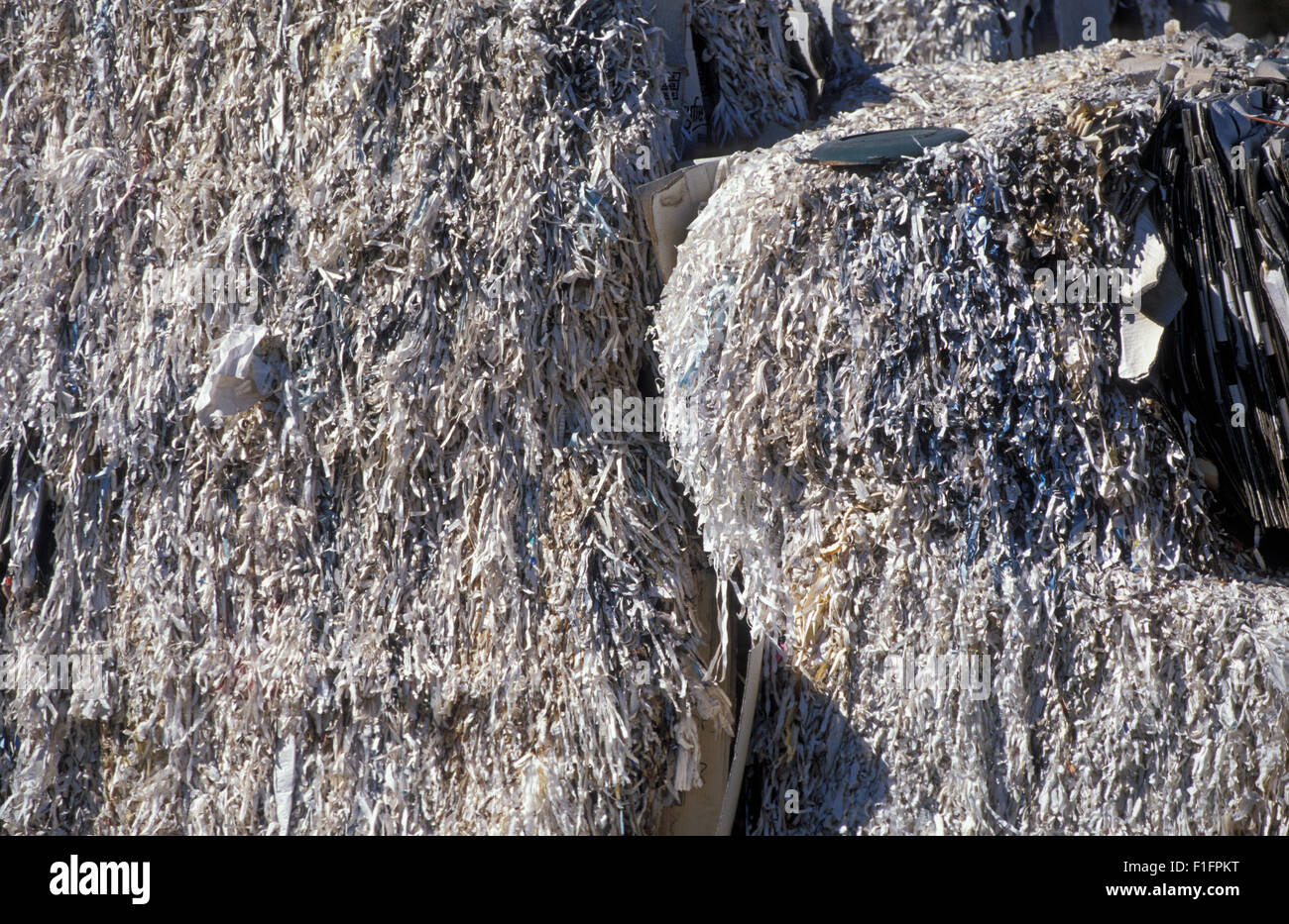 SHREDDED PAPER AT RECYCLING PLANT IN WESTERN AUSTRALIA Stock Photo - Alamy