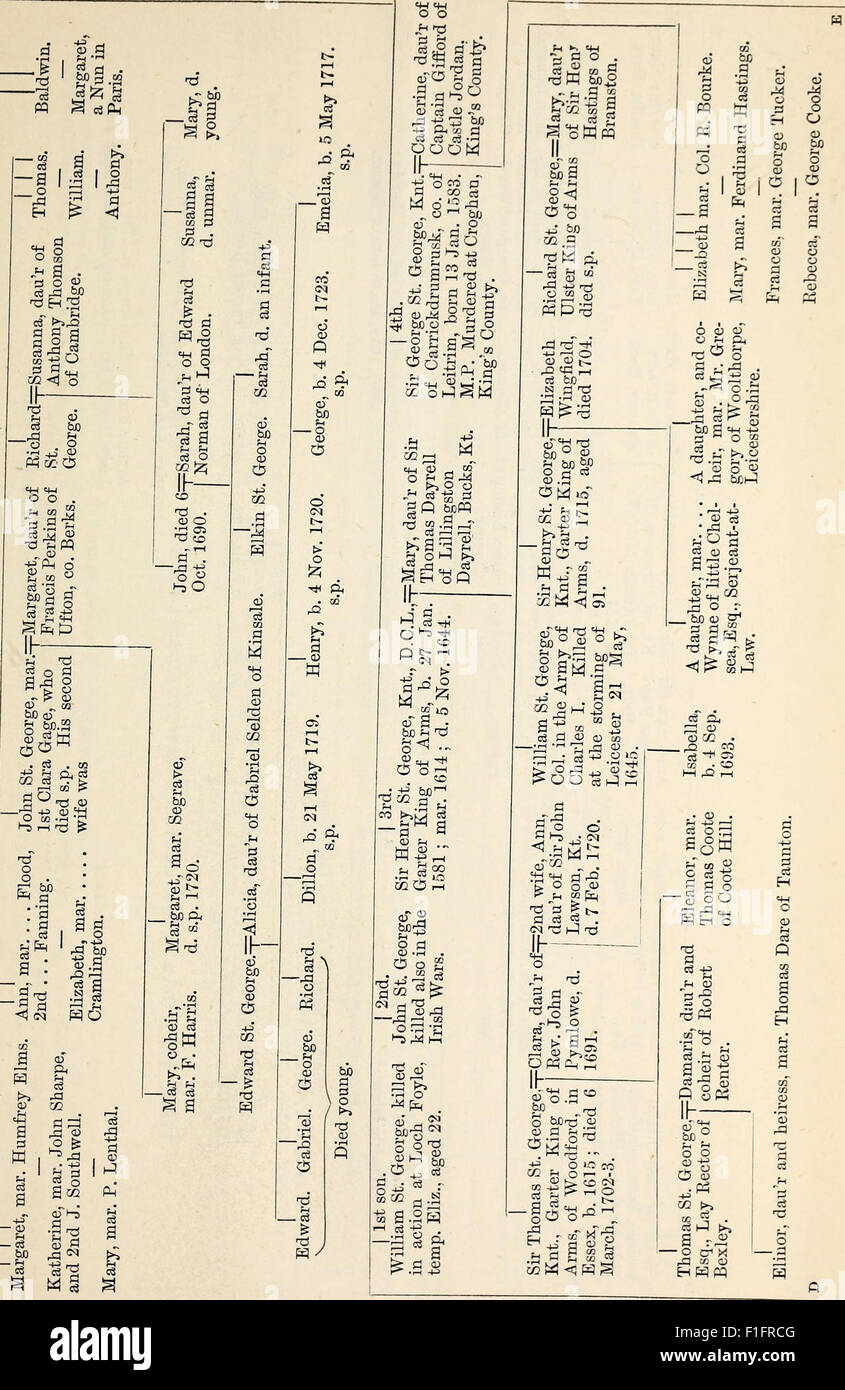 A genealogical and heraldic work from 1881, documenting family lineages ...
