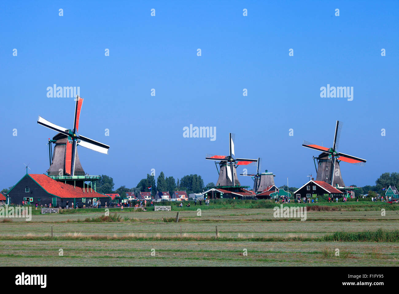 Classic Dutch windmill at Zaanse Schans Stock Photo