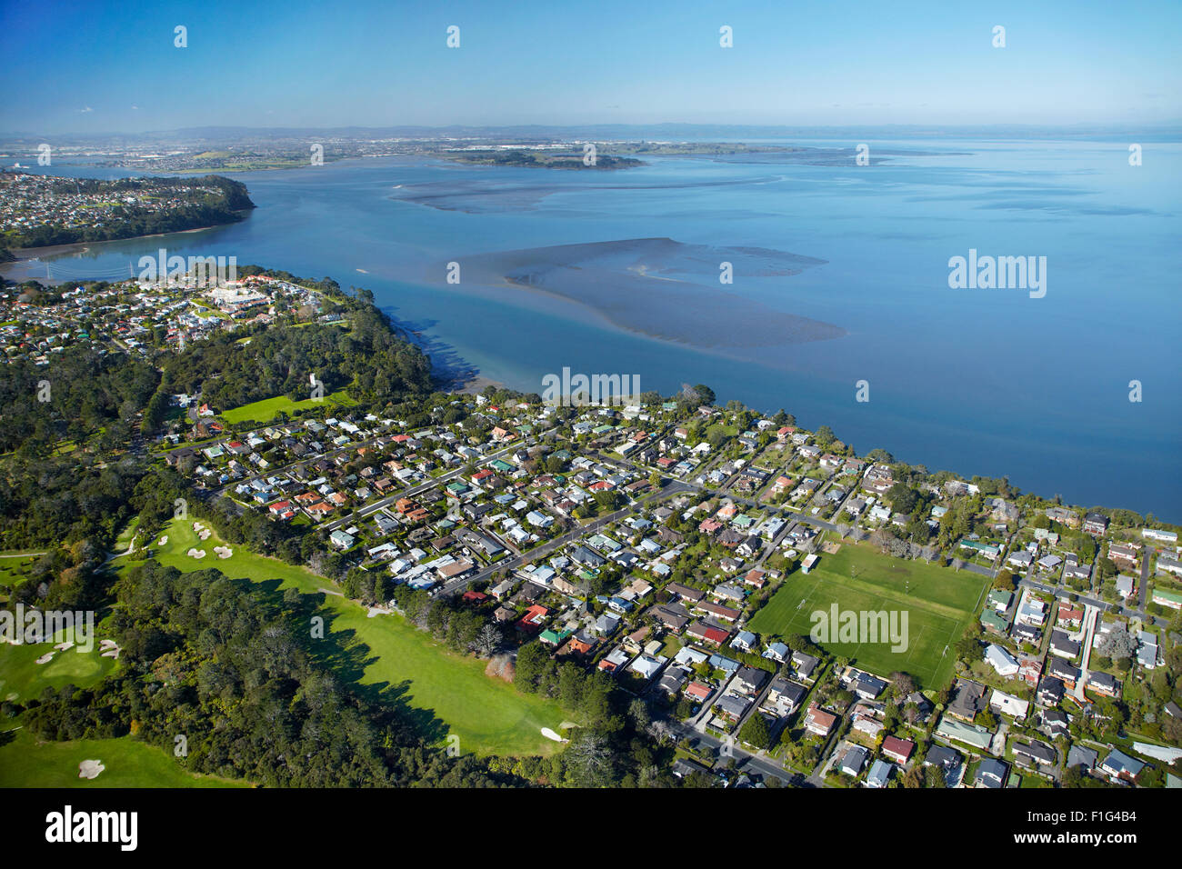 Titirangi Golf Course, Green Bay, and Manukau Harbour, Auckland, North Island, New Zealand - aerial Stock Photo