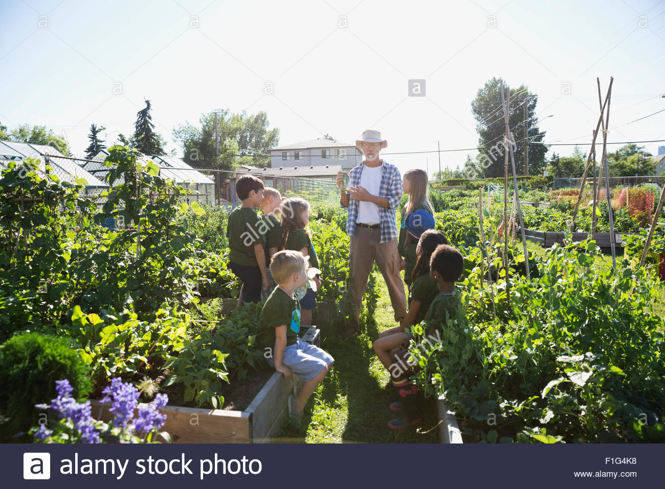 Garden expert teaching kids in sunny vegetable garden Stock Photo