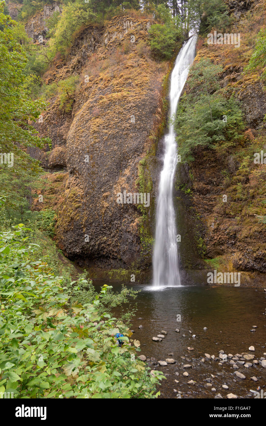 Horsetail Falls Columbia River Gorge scenic area Oregon. Stock Photo