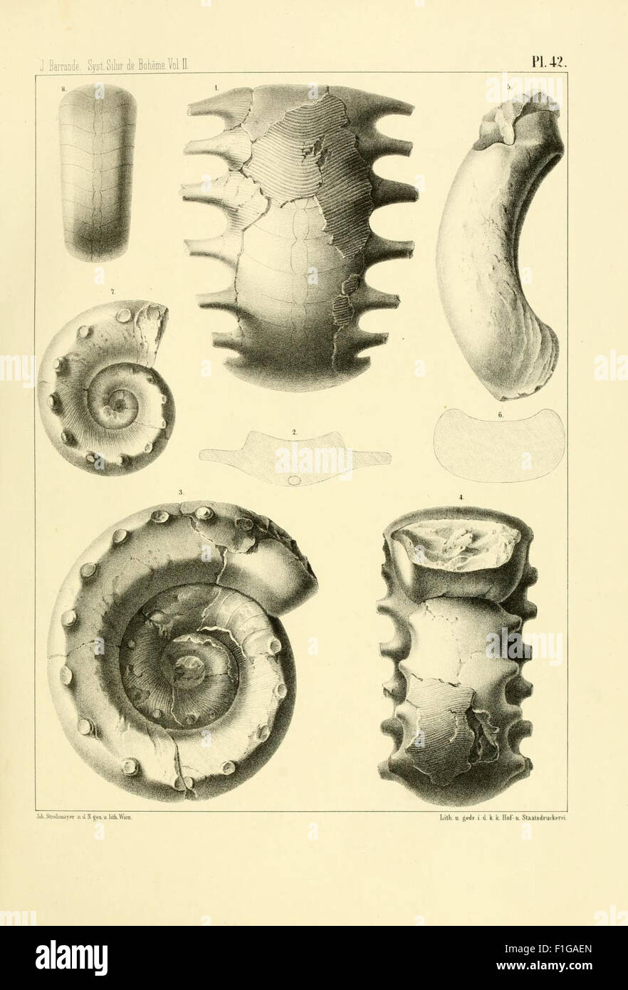 Systême silurien du centre de la Bohême (Pl. 42 Stock Photo - Alamy