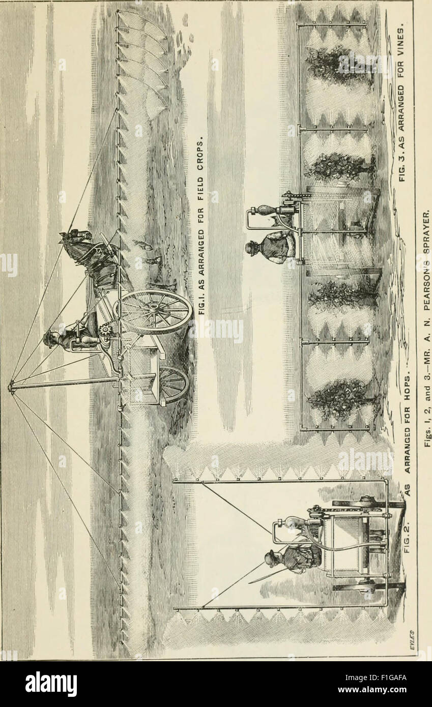 This 1891 handbook addresses the destructive insects of Victoria ...