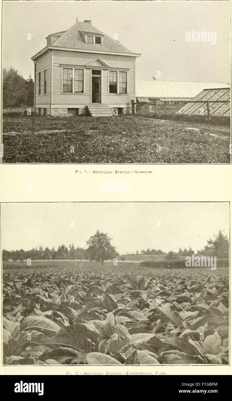 Experimental Farm Management photo