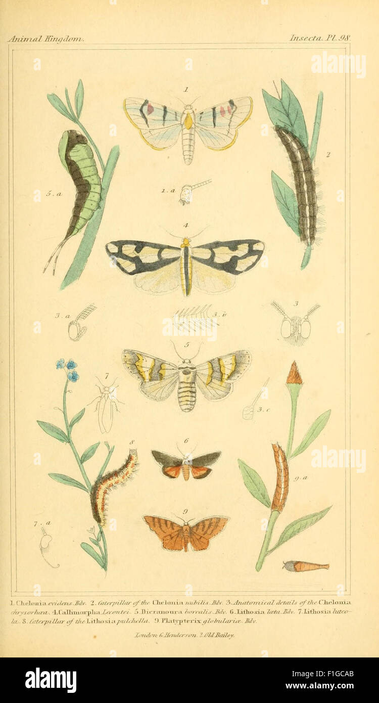 This book provides a systematic classification of animals, offering an ...