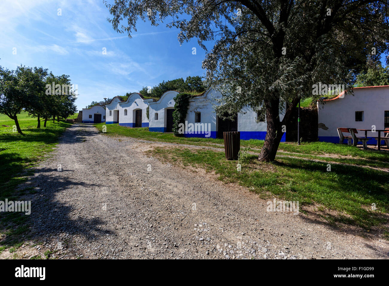 Wine cellars, Petrov Plze, near Straznice,folk architecture, Wine Region Slovacko, South Moravia, Czech Republic,Europe Stock Photo