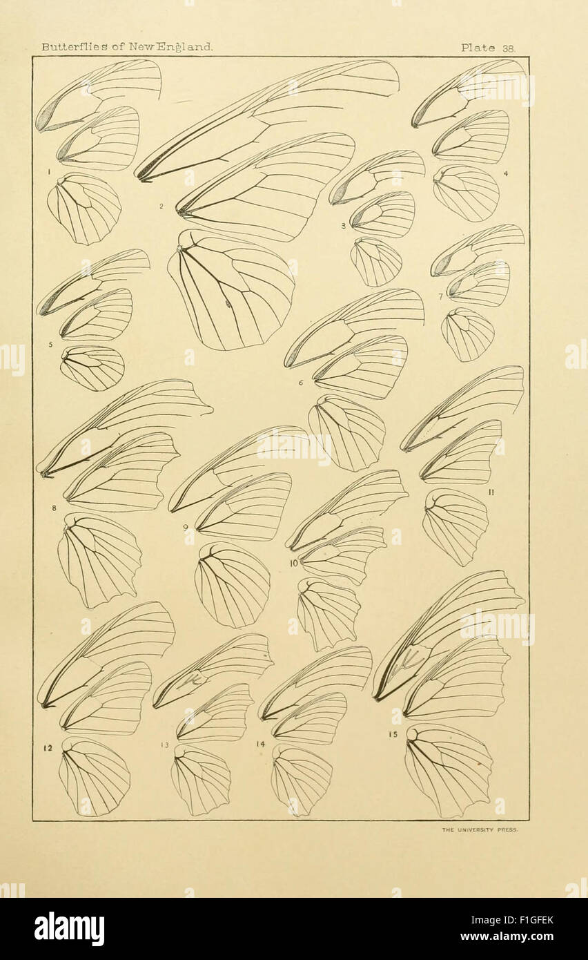 This historical work focuses on the identification and study of ...