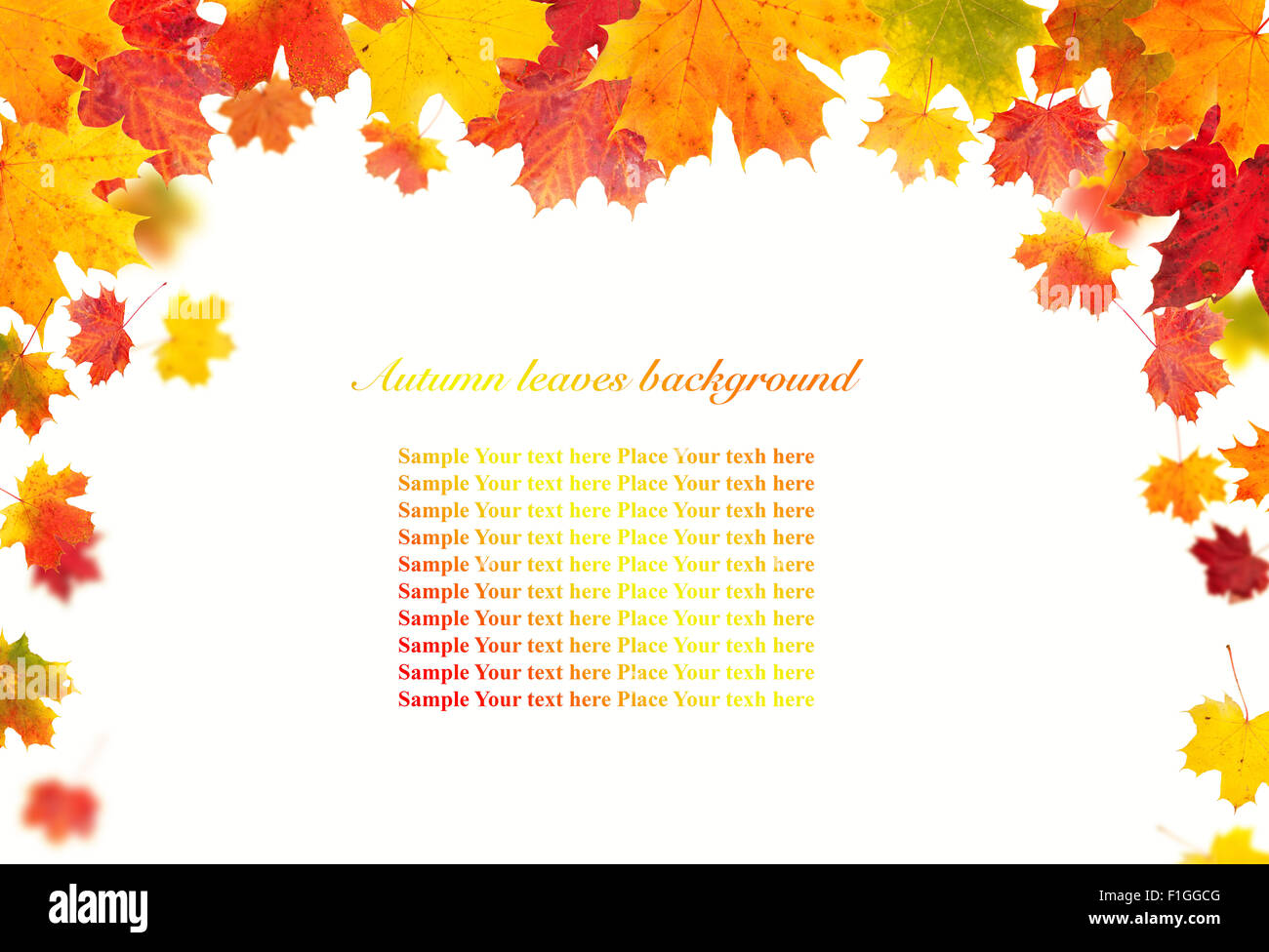 Isolated autumn leaves on white background Stock Photo - Alamy