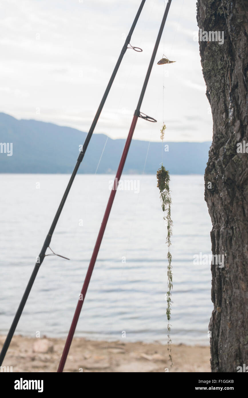 Fishing rods and mountain dam. Stock Photo