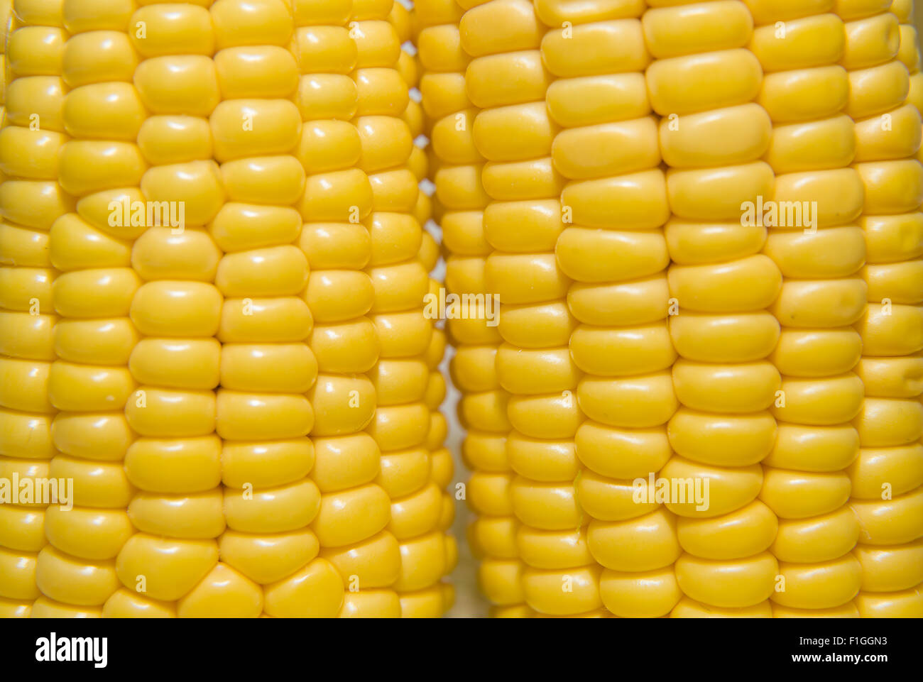 A few mature ears of corn Stock Photo