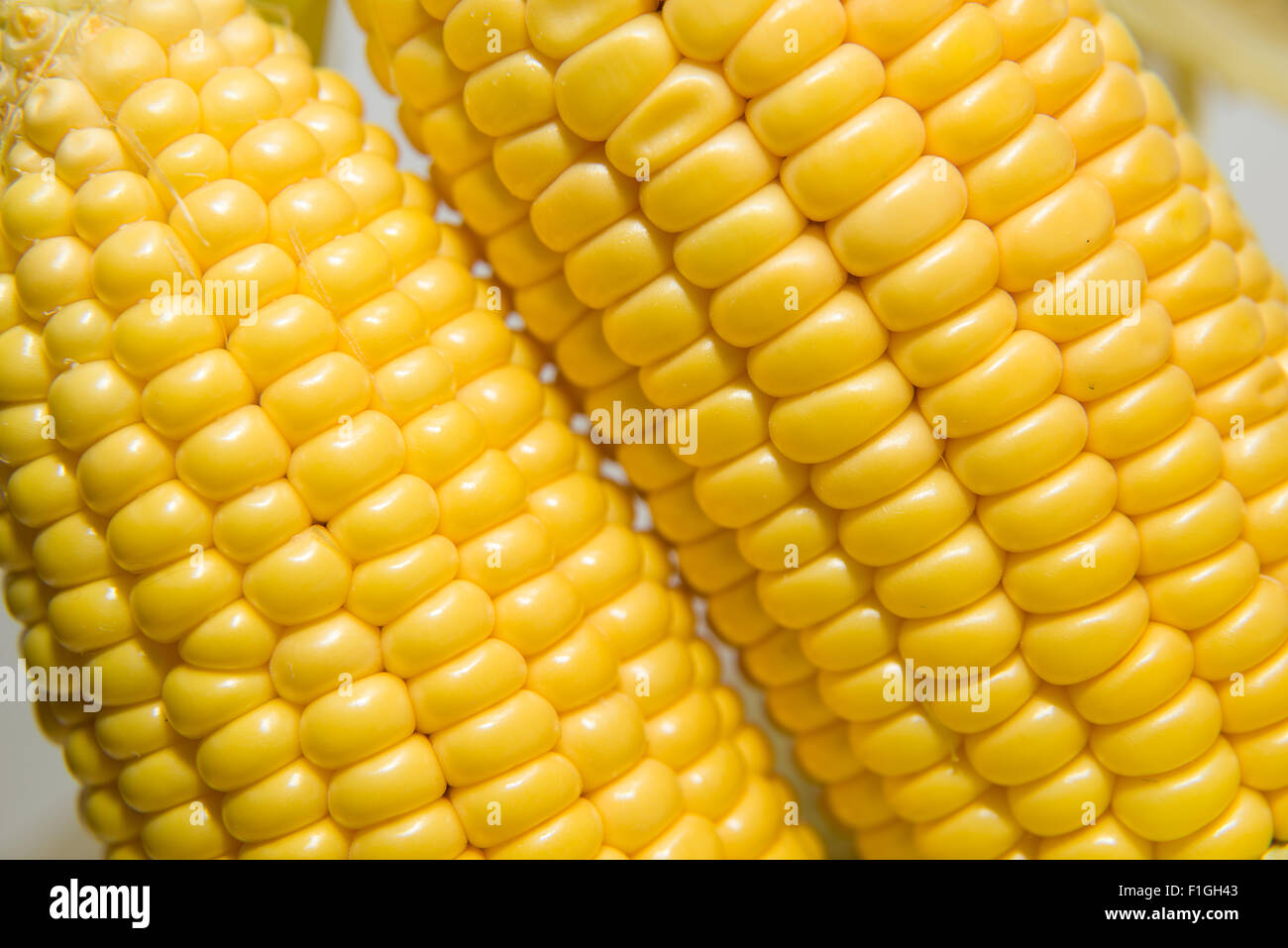 A few mature ears of corn Stock Photo