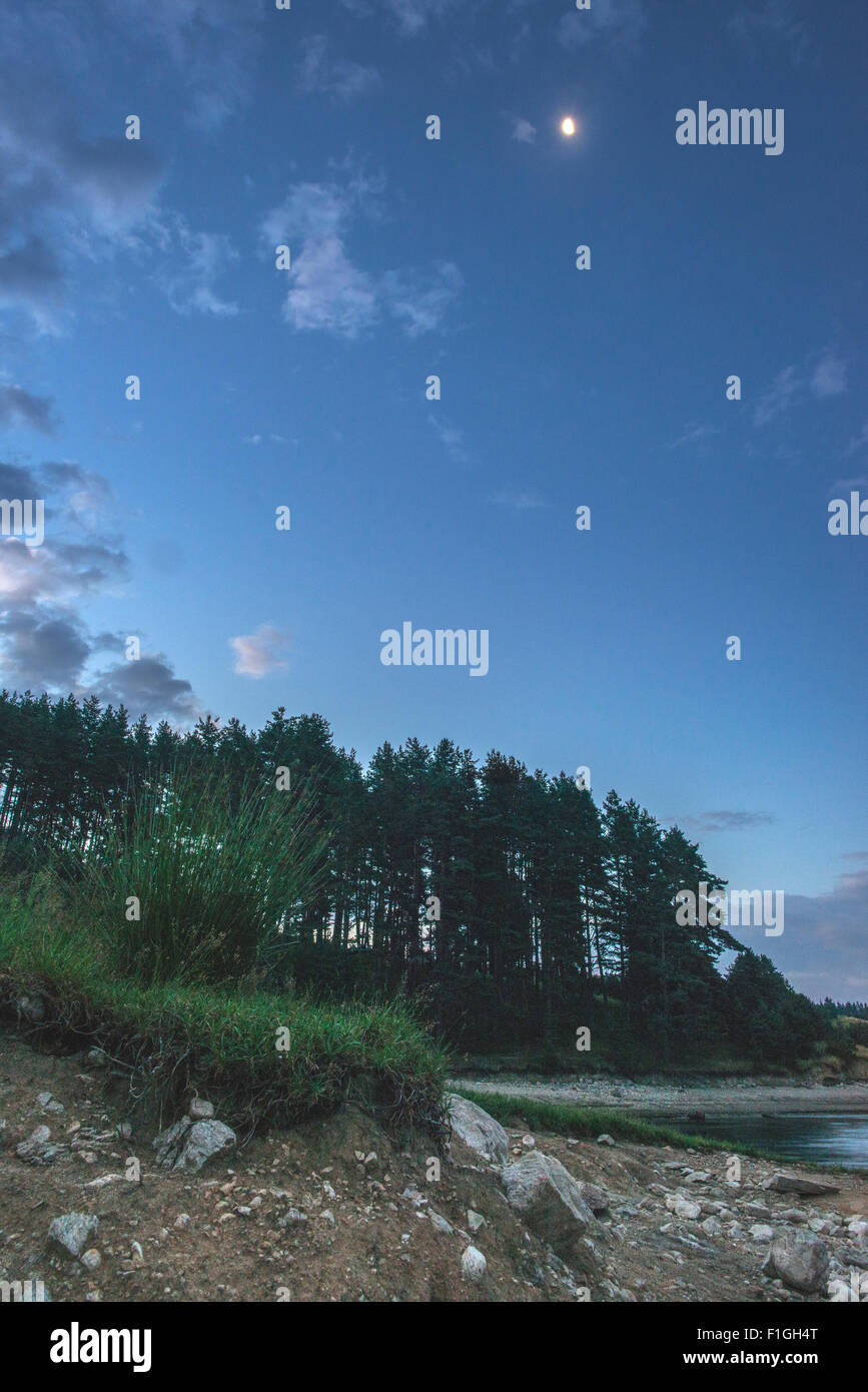 Fantasy forest night hi-res stock photography and images - Alamy