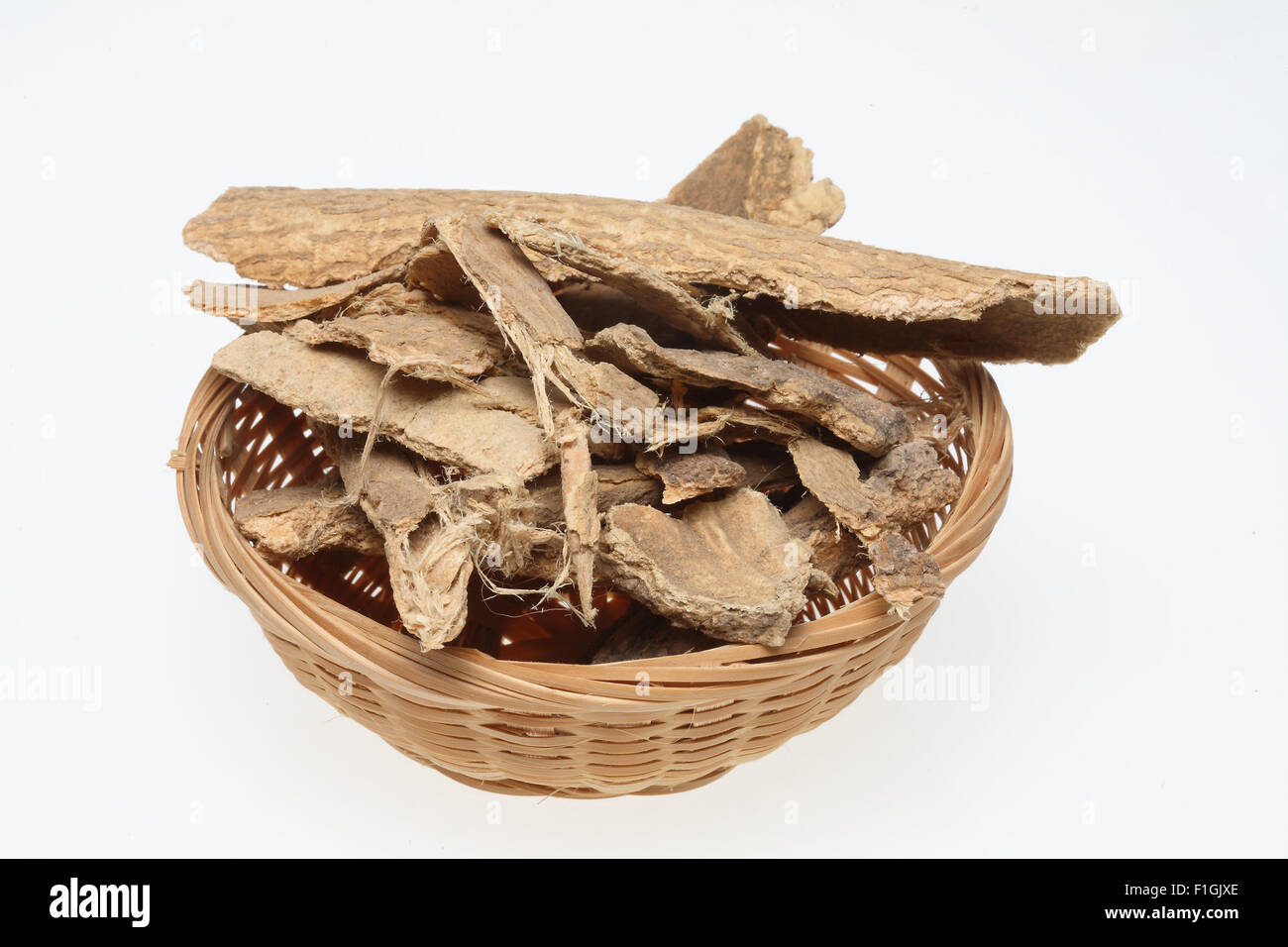 bark of Tree of Heaven, Ailanthus altissima, medicinal plant Stock