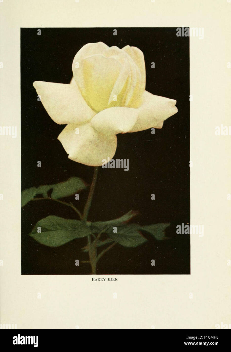 *The Practical Book of Outdoor Rose Growing for the Home Garden* is a ...