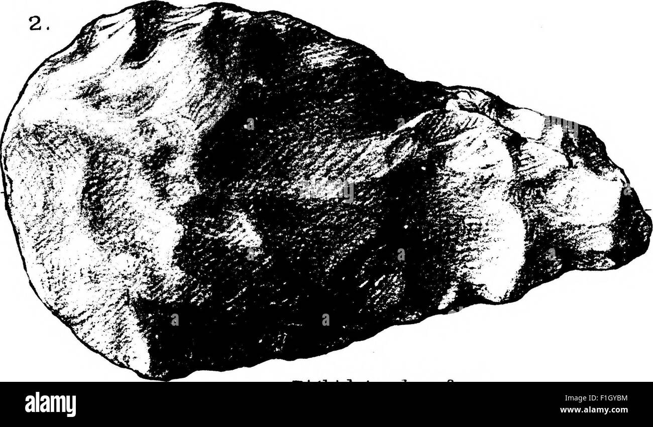 This study, published in 1920, analyzes the transition in prehistoric ...