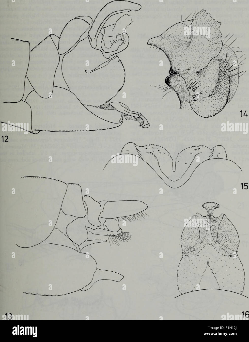 Insect Journal This 1984 edition of the 'Tijdschrift voor Entomologie' is a periodical ...