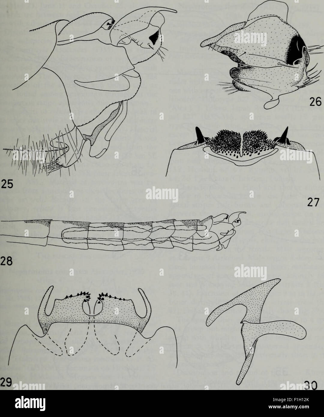 Insect Journal The 1984 *Tijdschrift voor Entomologie* issue provides in-depth ...