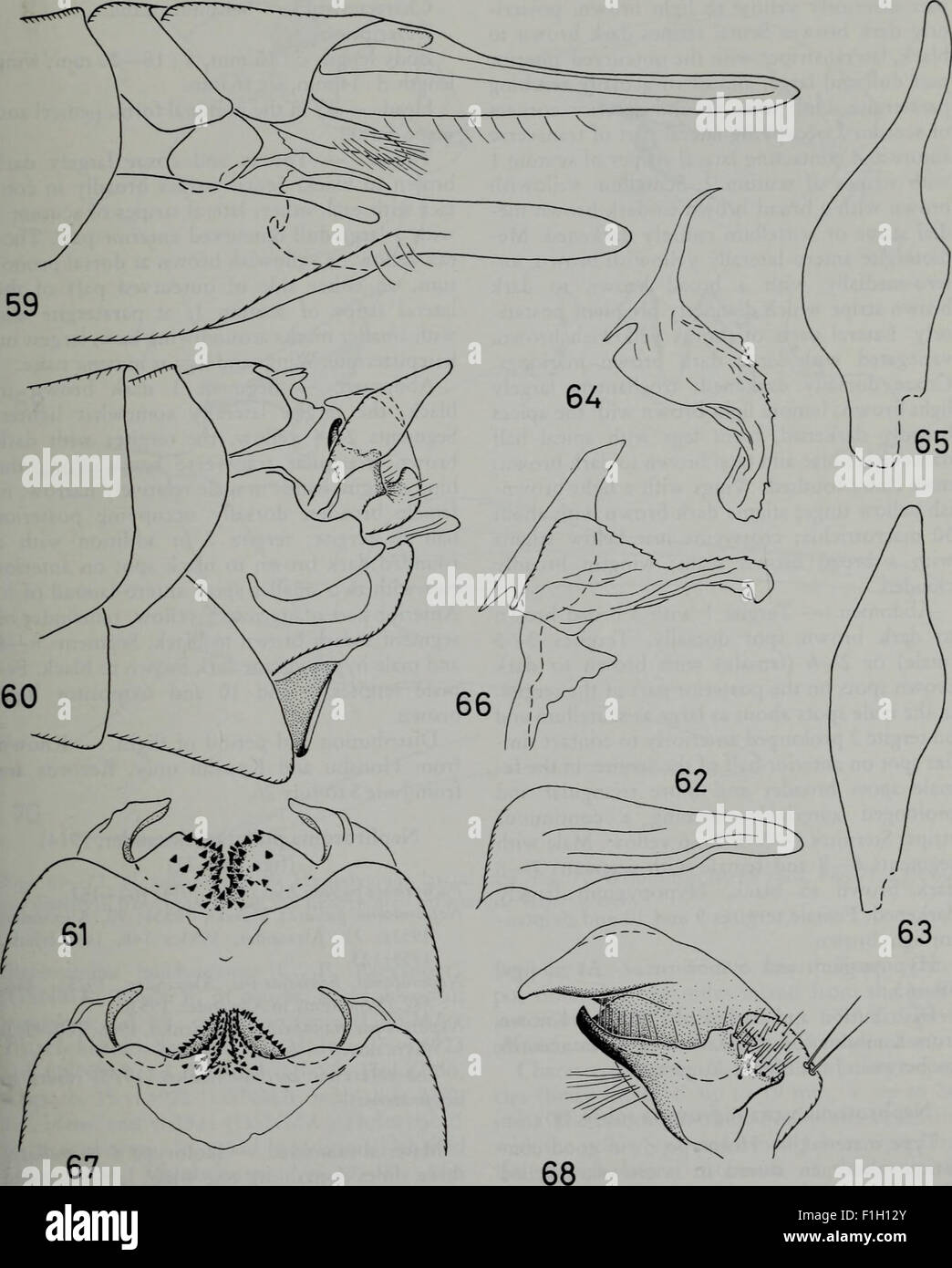 Insect Journal *Tijdschrift voor Entomologie* (1984) is a scientific journal dedicated ...