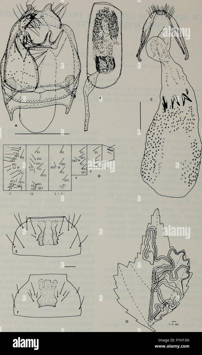 Insect Journal This 1984 volume of *Tijdschrift voor Entomologie*, a renowned ...