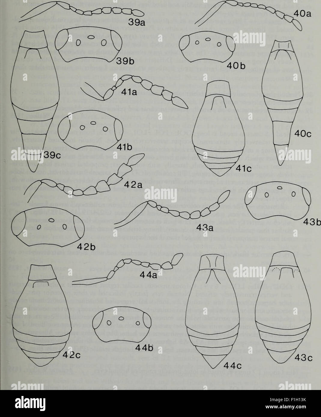 Insect Journal 'Tijdschrift voor Entomologie' (1984) is a journal focused on ...