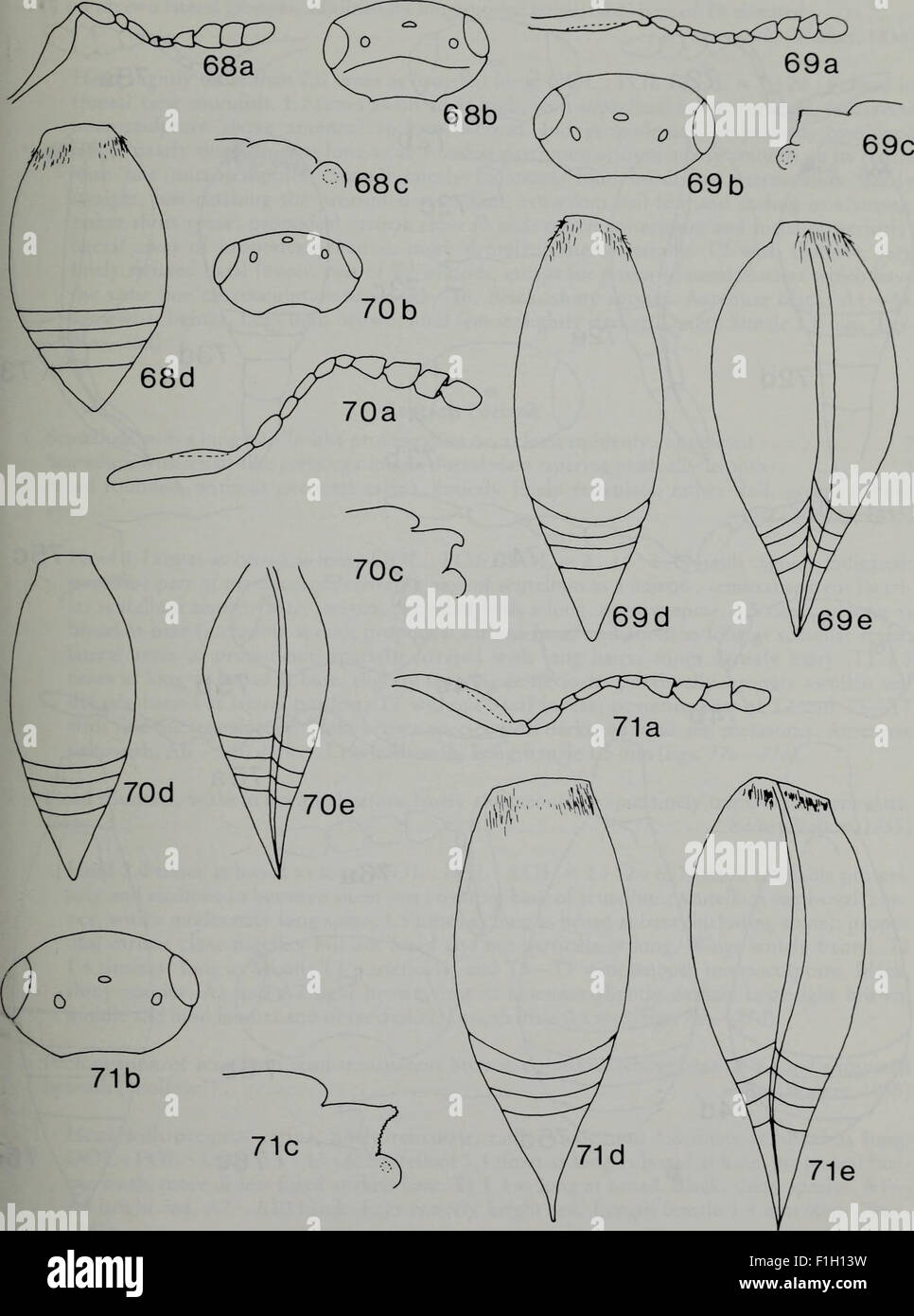 A scientific journal focusing on entomology, published in 1984. It ...