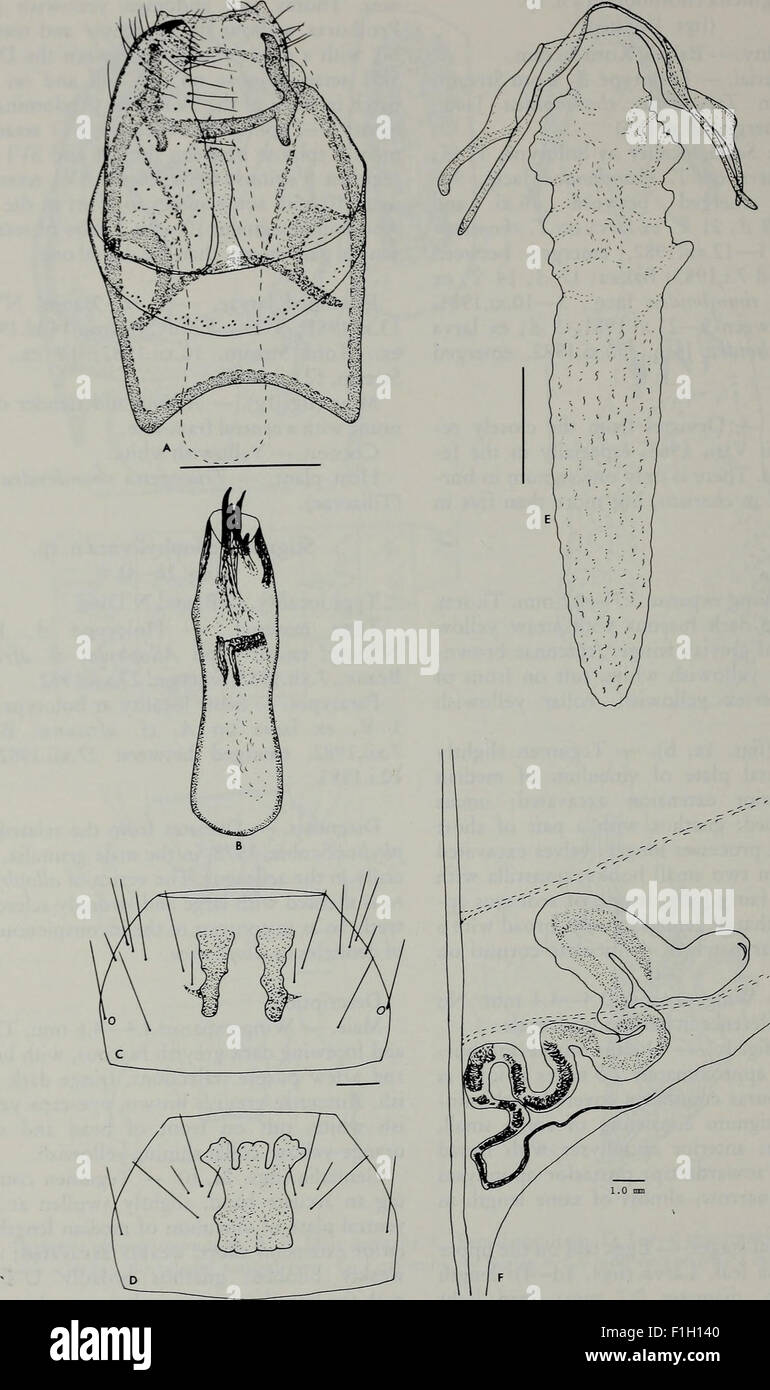 Insect Journal The 'Tijdschrift voor Entomologie' (1984) is a scholarly journal that ...