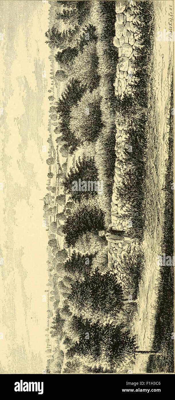 A Supplement to The history and genealogy of the Davenport family, in England and America, from A. D. 1086 to 1850 Pub. in 1851; and continued to 1876 (1876) Stock Photo