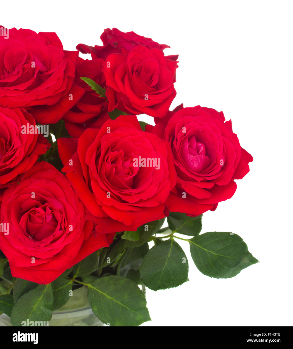 3 Fresh Roses bouquet of fresh roses Stock Photo - Alamy