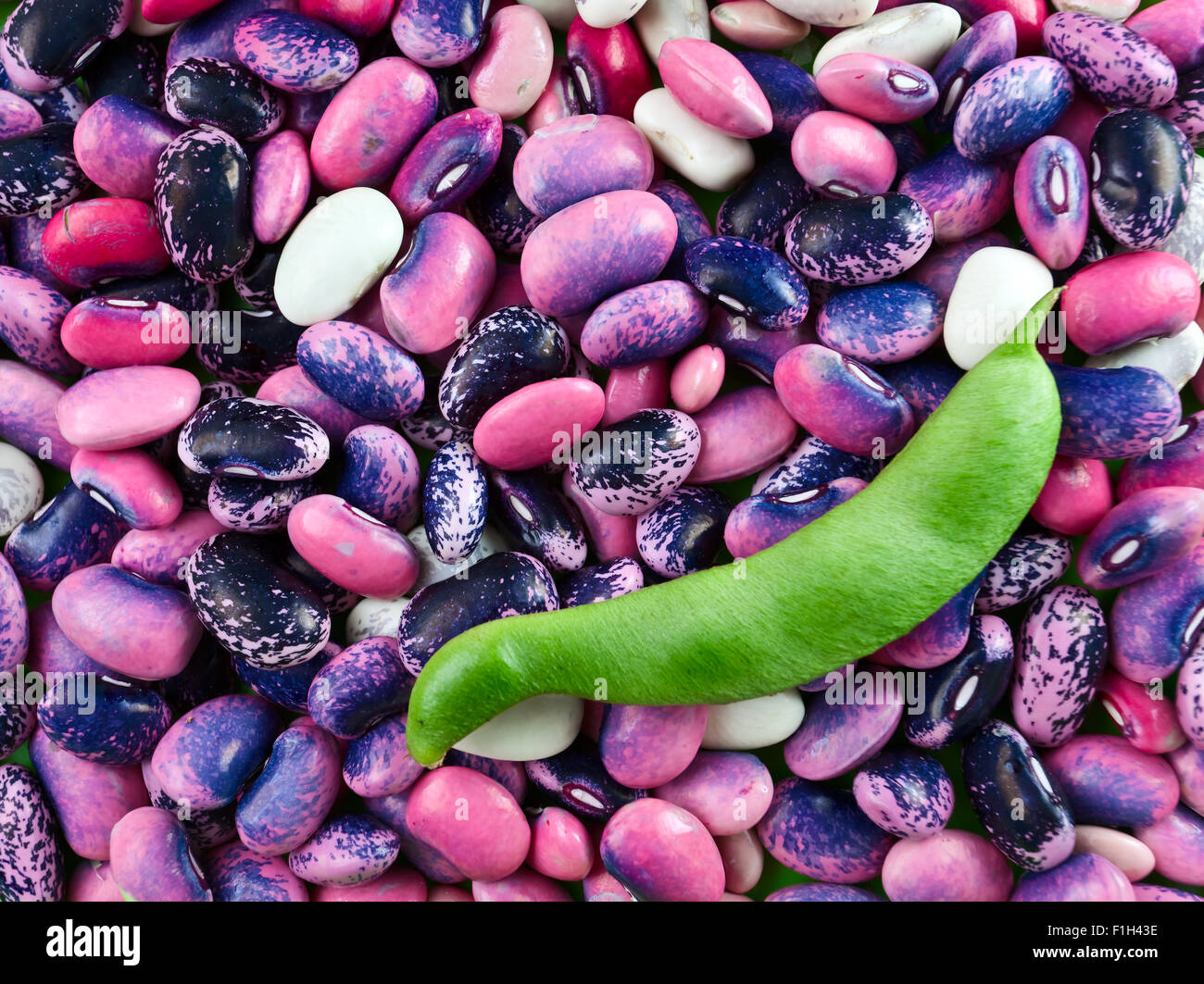 Multicoloured string bean , focus on a center Stock Photo Alamy