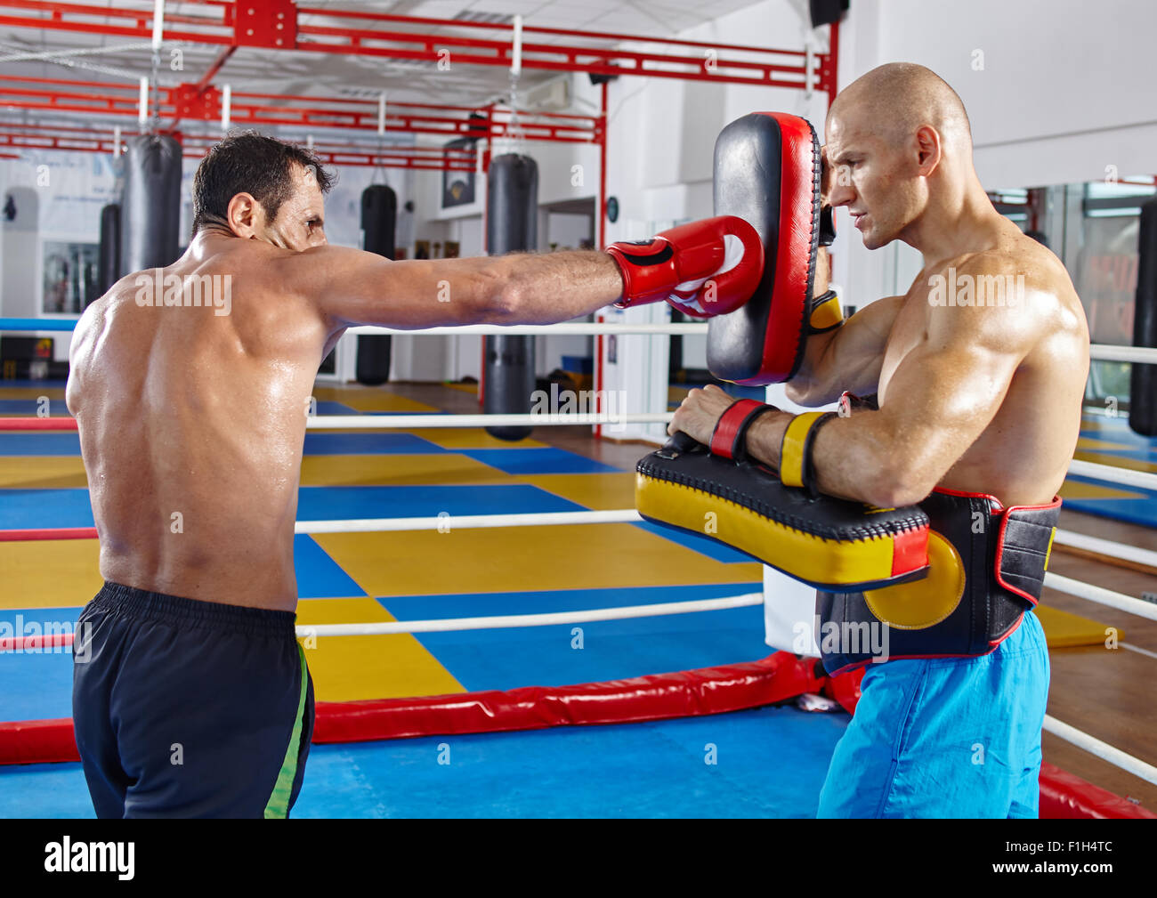 Two muay thai fighters in a sparring match in the ring Stock Photo Alamy