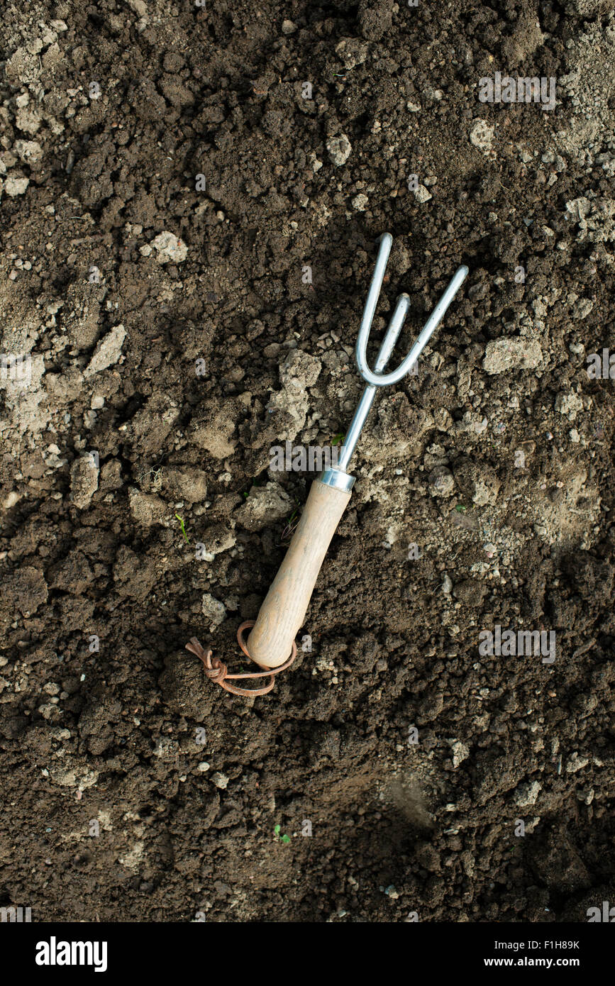 Small garden tool with wooden handle lying on the soil. Stock Photo