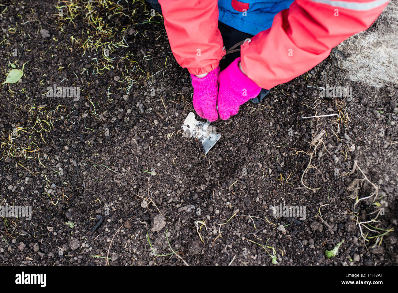 Lifestyle spring scene. Little girl digging in the garden soil preparing for flowers, plants and vegetables. Stock Photo