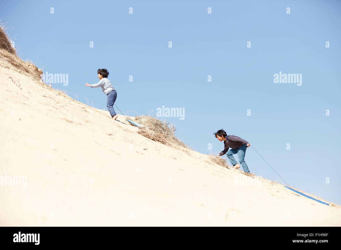 Two young boys climbing sandy hill, pulling sledges behind them Stock Photo
