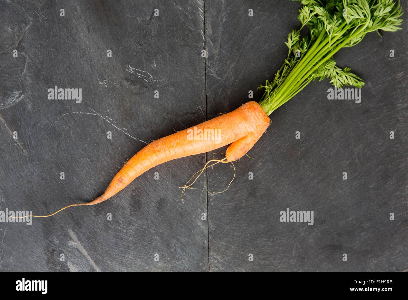 Still life of fresh misshapen carrot Stock Photo