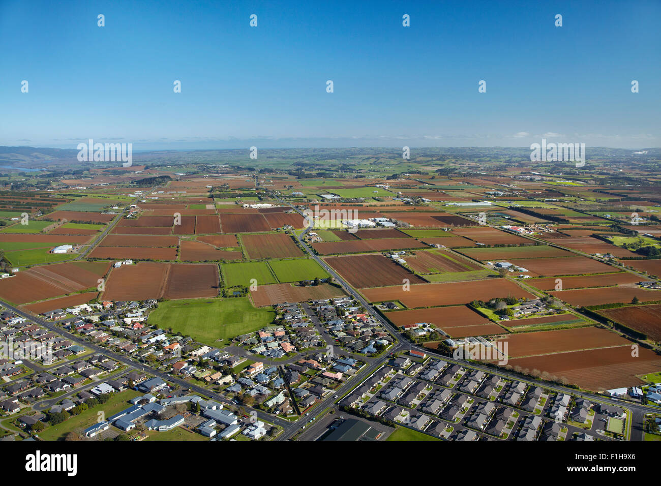Housing development and market gardens, Pukekohe, South Auckland, North Island, New Zealand - aerial Stock Photo