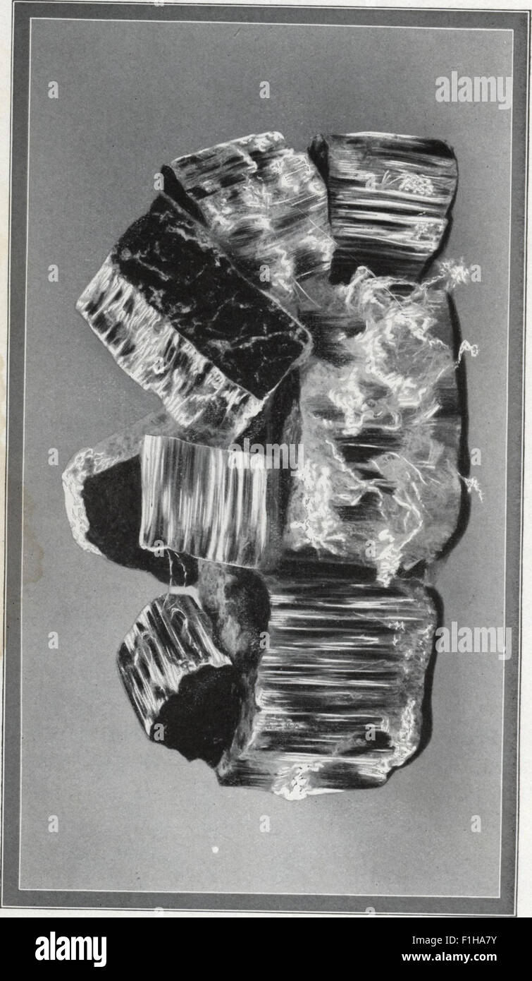 This 1911 catalog, Carey's Coverings No. 411, showcases various textile