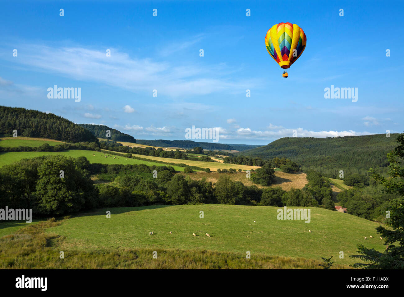 A hot air balloon flying over the countryside of the Yorkshire Dales in the north of England. Stock Photo