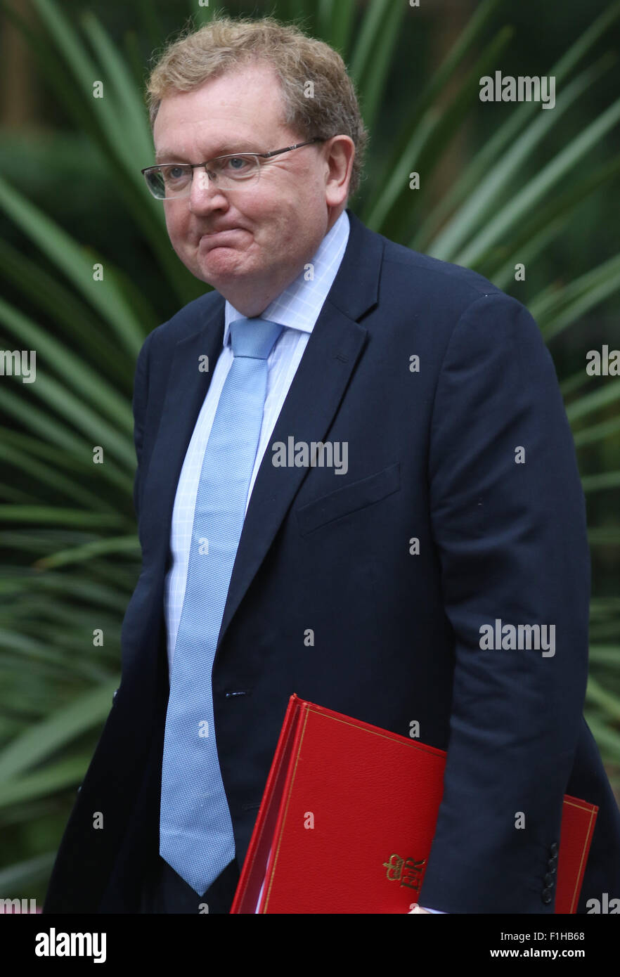 London, UK, 14th July 2015: David Mundell seen at Downing Street in London Stock Photo