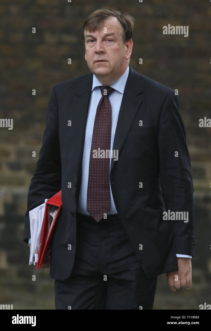 London, UK, 14th July 2015: Culture Secretary John Whittingdale seen at Downing Street in London Stock Photo