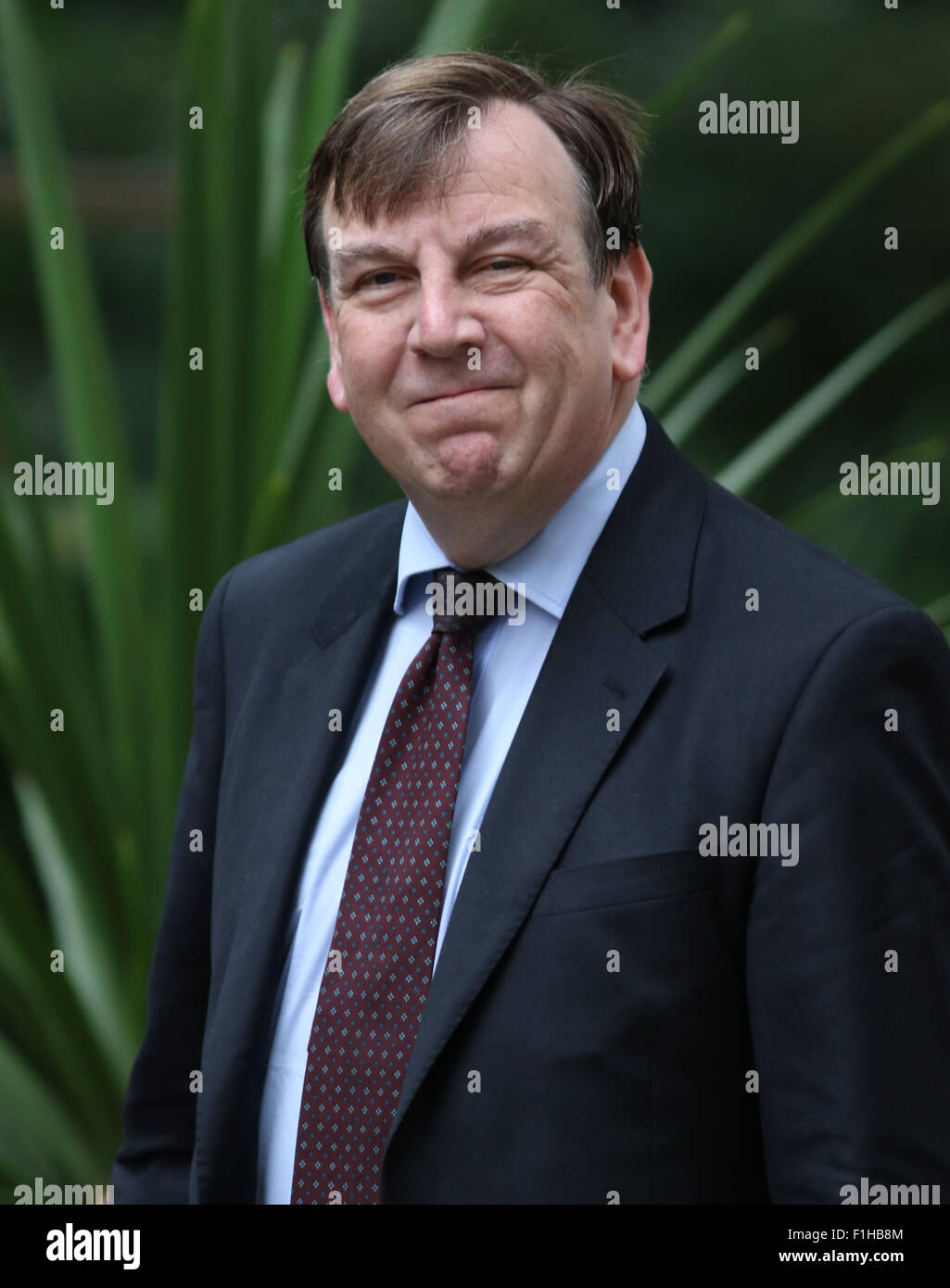 London, UK, 14th July 2015: Culture Secretary John Whittingdale seen at Downing Street in London Stock Photo