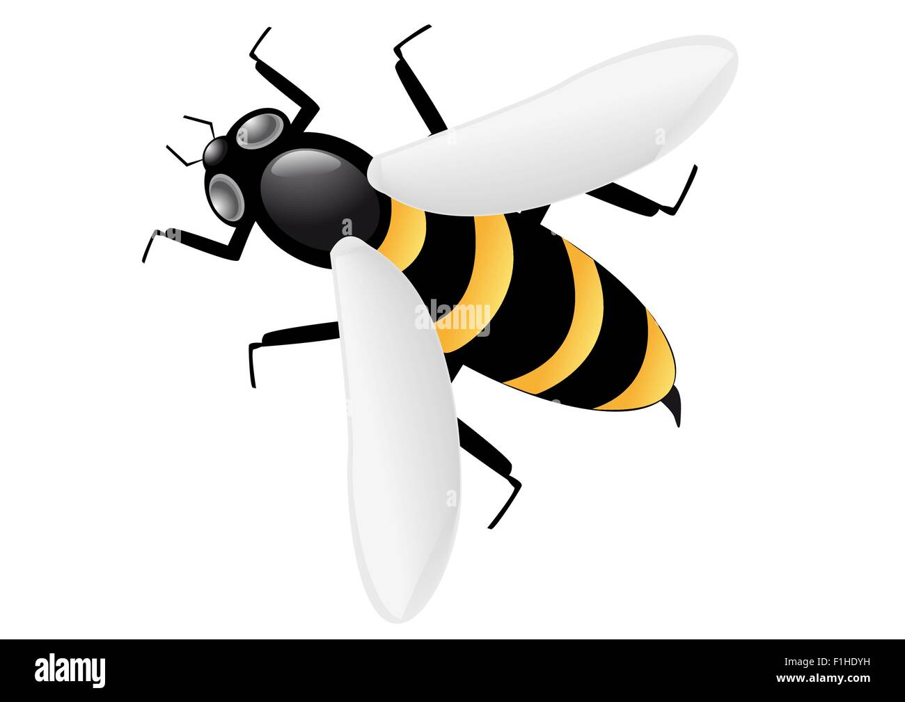 bee isolated on white background vector illustration Stock Vector Image ...