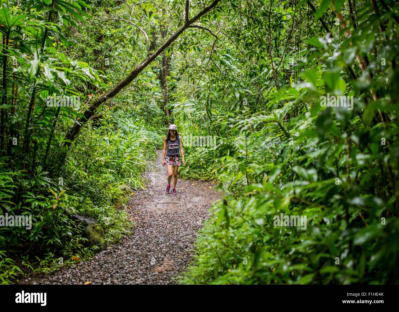 Young female tourist strolling in jungle,  Manoa Falls, Oahu, Hawaii, USA Stock Photo