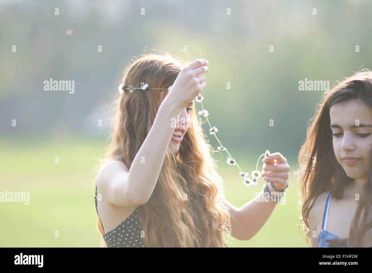Two teenage girls putting on daisy chain headdresses in park Stock Photo
