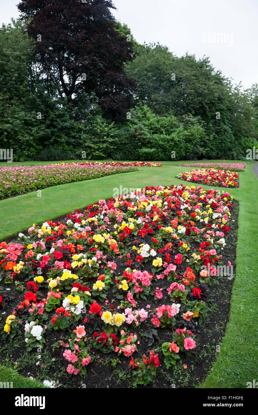 Beds full of late summer flowers on display in Haworth Central Park