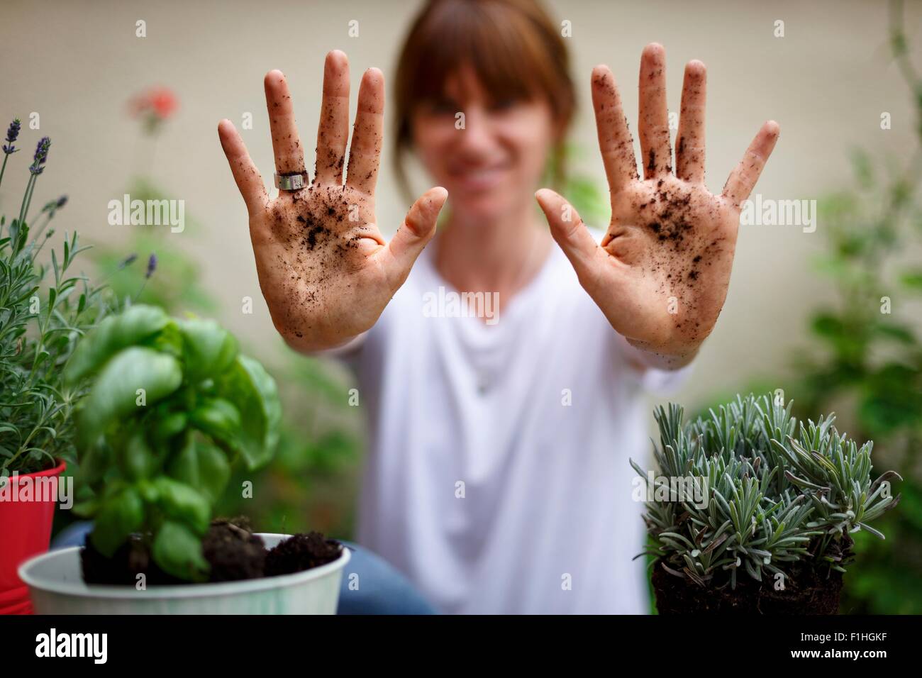 Mid adult woman holding soil covered hands up Stock Photo