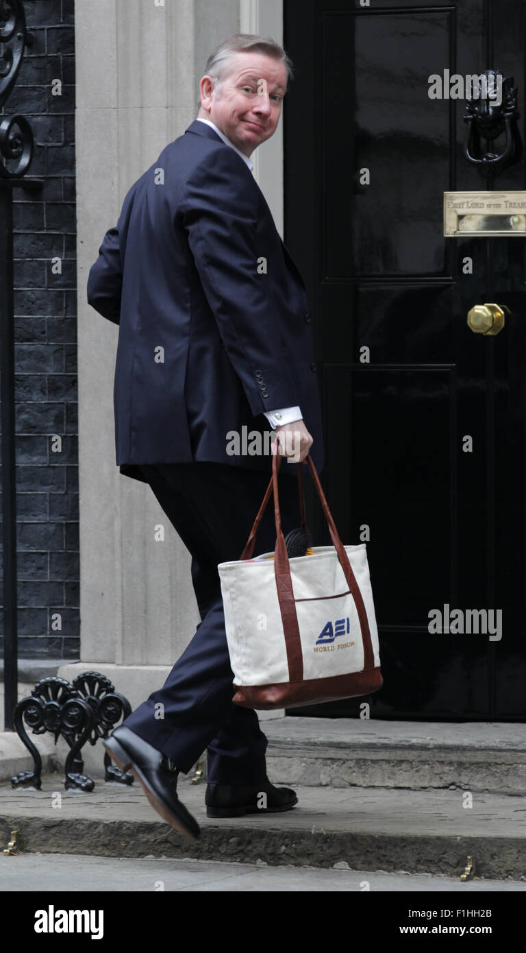 London, UK, 14th July 2015: Michael Gove, Secretary of State for Justice seen at Downing Street in London Stock Photo