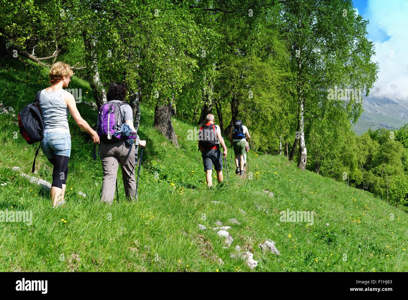 Rear view of four mature hikers hiking along hillside, Grigna, Lecco, Lombardy, Italy Stock Photo